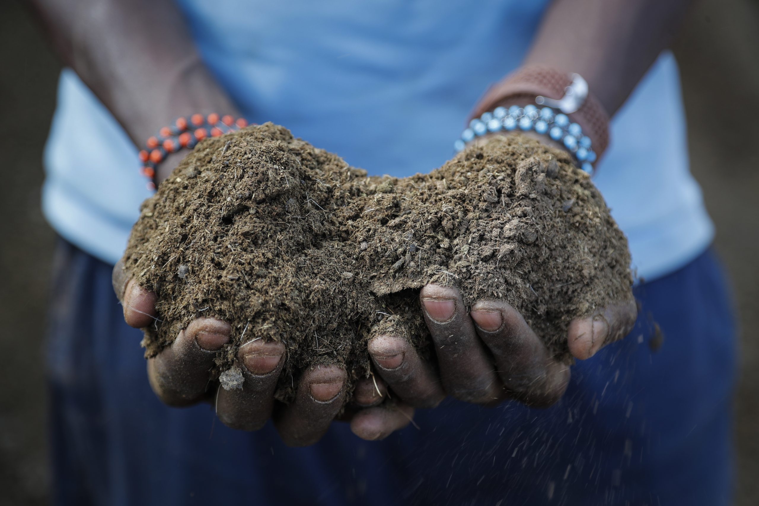 20,000 Tons of Russian Fertilizers Arrive in Niger as Crop Concerns Rise