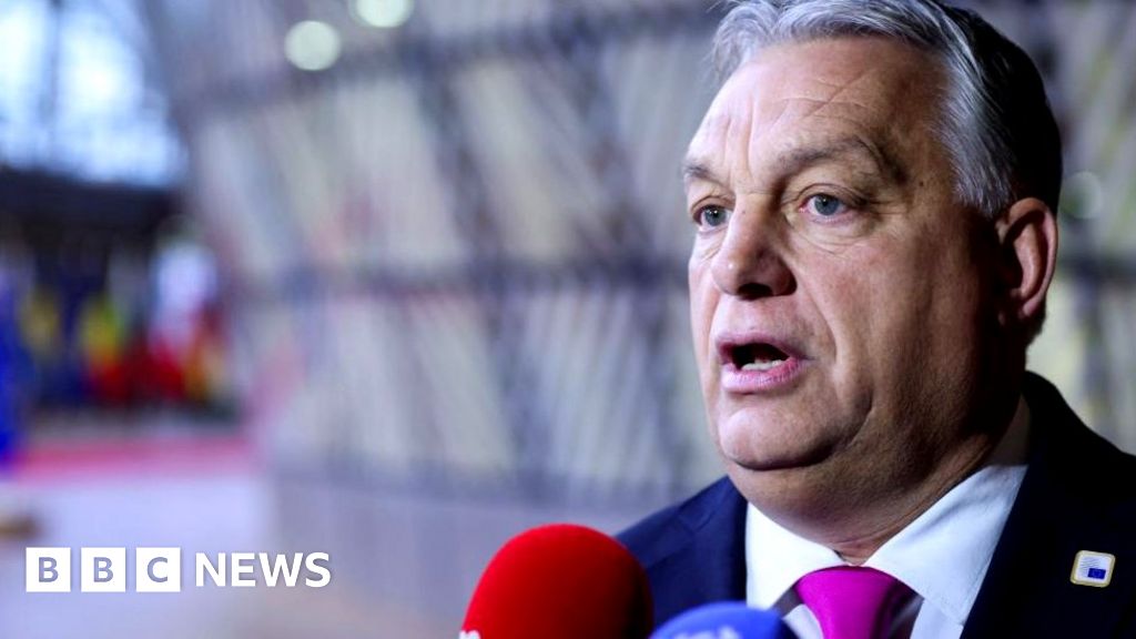 EU Funds for Hungary Remain Frozen as von der Leyen Details Release Conditions