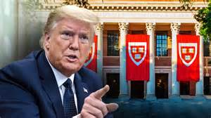 Trump Settlement Creates $1.776 Billion Fund for Alleged IRS Victims