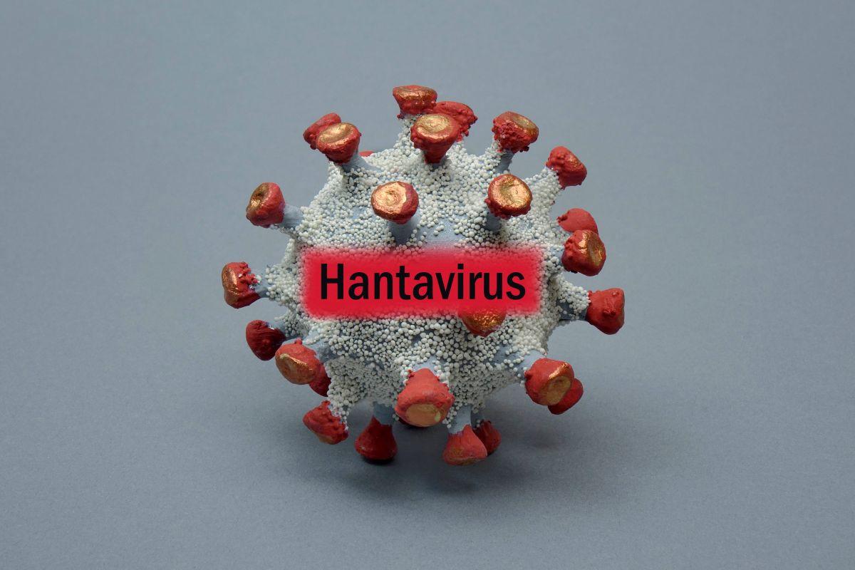 Hantavirus Outbreak on MV Hondius Cruise Ship Sparks Urgent Evacuation to Tenerife