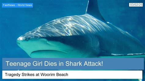 Tragic Third Shark Attack Claims Life on Australia’s Great Barrier Reef